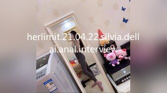 herlimit.21.04.22.silvia.dellai.anal.interview