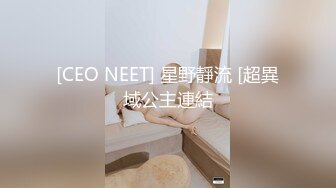 [CEO NEET] 星野靜流 [超異域公主連結