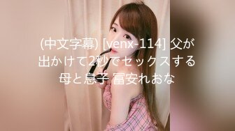 (中文字幕) [venx-114] 父が出かけて2秒でセックスする母と息子 冨安れおな