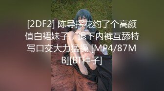 [2DF2] 陈导探花约了个高颜值白裙妹子，退下内裤互舔特写口交大力猛操 [MP4/87MB][BT种子]