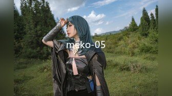 meko-05